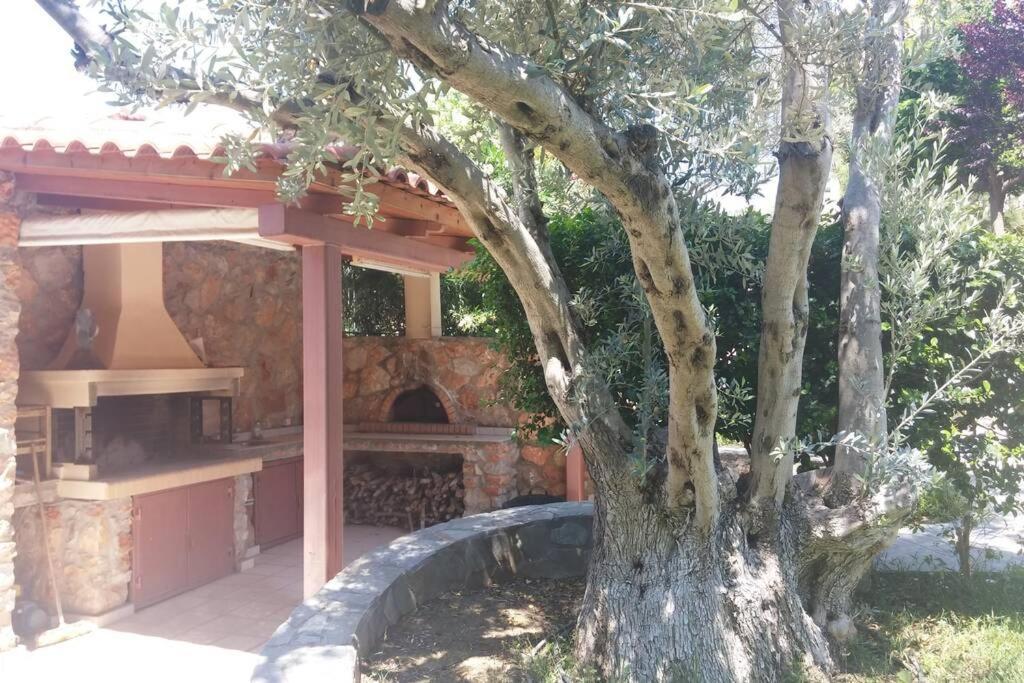 Seaside Villa Andronikos Amarynthos Exteriér fotografie