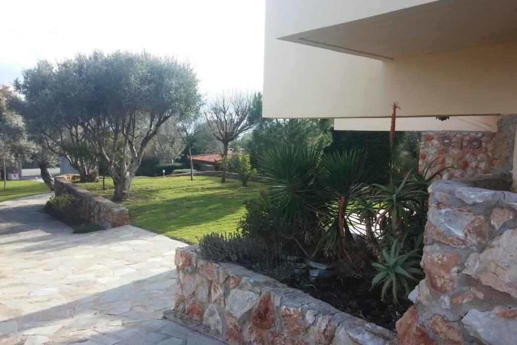 Seaside Villa Andronikos Amarynthos Exteriér fotografie